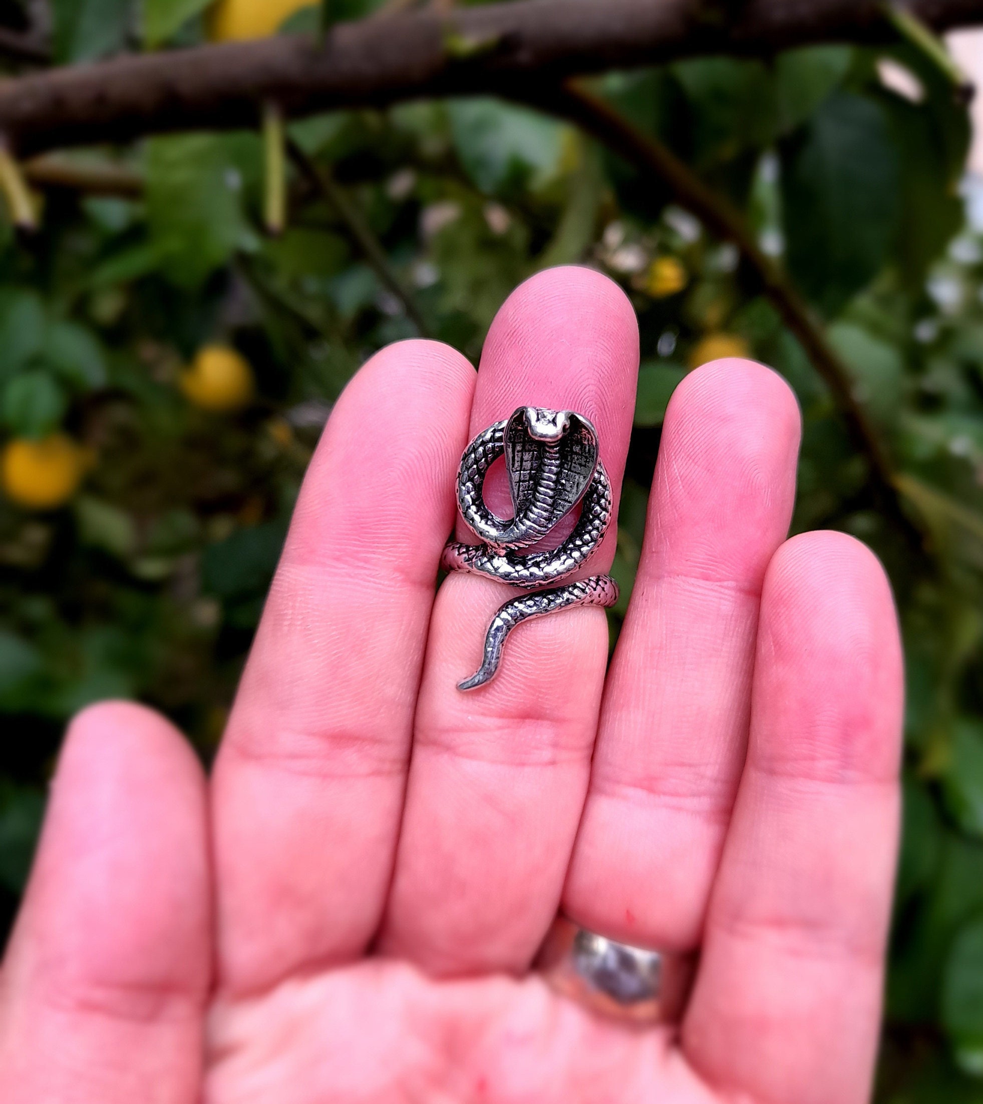 Snake Ring Silver Snake Ring Silver Ring Animal Ring Snake Etsy