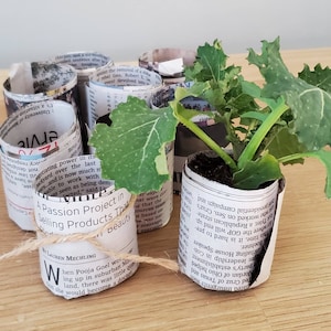 Recycled Newspaper Seedling Starter Plant Pots, Perfect for Indoor Seed Starting! Ready for Spring or Fall!