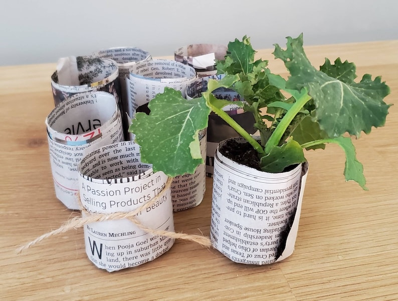Recycled Newspaper Seedling Starter Plant Pots, Perfect for Indoor Seed