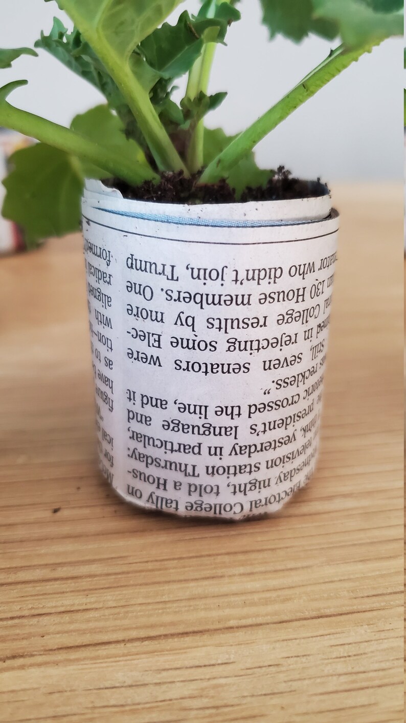Recycled Newspaper Seedling Starter Plant Pots, Perfect for Indoor Seed