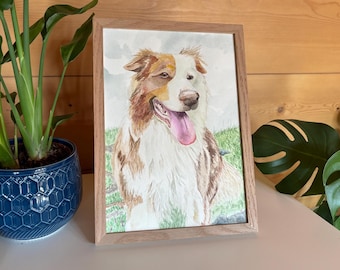Australischer Schäferhund, Original Aquarell
