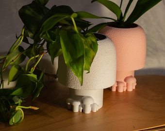Mini Mushroom Wall Planter – Whimsical Home Decor