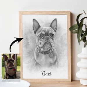 Pet Portrait From Photo Digital File, Pet drawing, Custom Pet Portrait, Gift Pet Memorial Birthday, Cat, Dog sketch, Fathers day gift