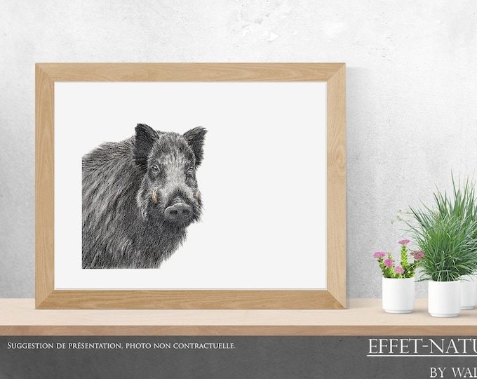 Boar portrait, printing, drawing, watercolor, animal art, animal painting, art, decoration, mountain animals