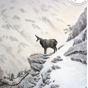 Chamois sentinelle / Sentinel chamois - Open Edition 18 x 24 cm - Reproduction d'aquarelle