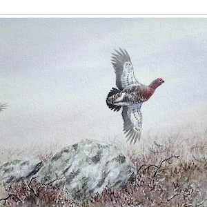 Peut inclure: Une peinture à l'aquarelle représentant deux lagopèdes des Alpes en vol au-dessus d'un paysage rocheux. Les oiseaux volent vers la droite de l'image, les ailes déployées. L'arrière-plan est d'un bleu doux et vaporeux, et le sol est recouvert d'une végétation brun et verte. La peinture est signée "Walter Arlaud" dans le coin inférieur droit.