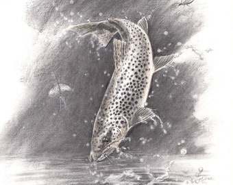 Trout and mayflies / Trout and mayflies - Open Edition 18 x 24 cm - Watercolor reproduction