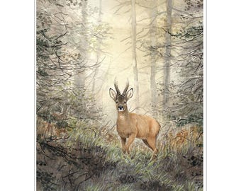 Könnte beinhalten: Aquarellmalerei eines Hirsches in einer Waldlandschaft. Der Hirsch hat braunes Fell und ein Geweih und steht auf einer Lichtung mit hohen Bäumen und Blättern. Das Kunstwerk ist signiert und trägt den Text "CAPREOLLUS CAPREOLLUS".