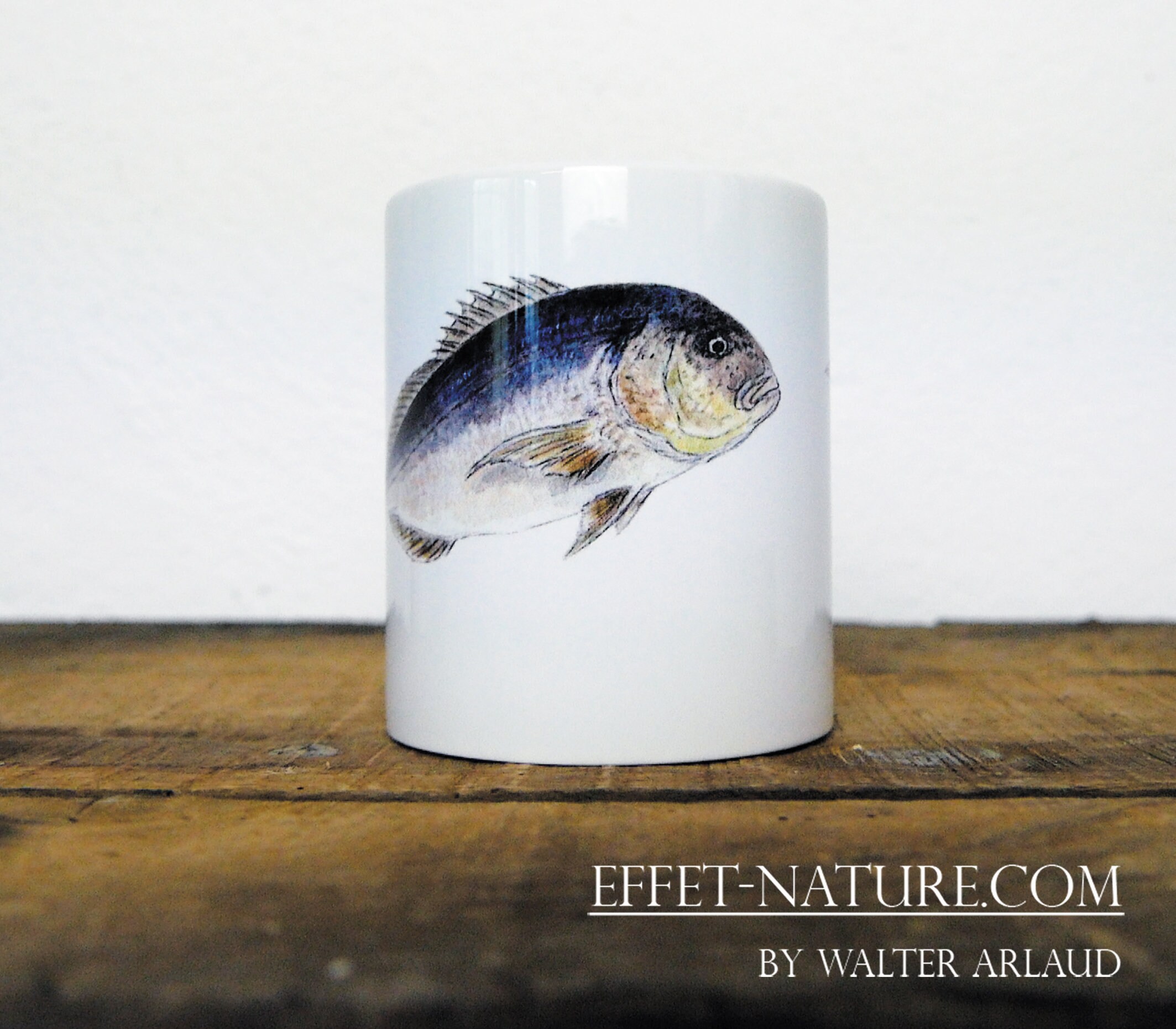 Mug Céramique Blanc Denti/Dentex Illustration Couleur Signée Par L'artiste Walter Arlaud