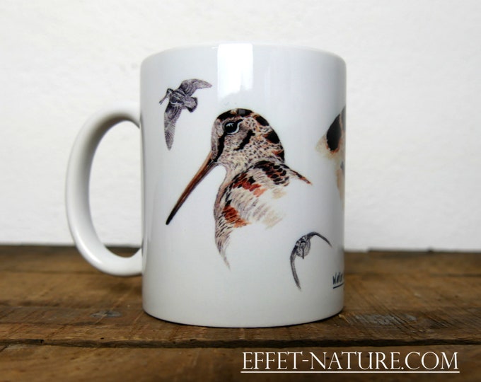 Study of mug color woodcock or white ceramic cup illustration signed by the artist Walter Arlaud