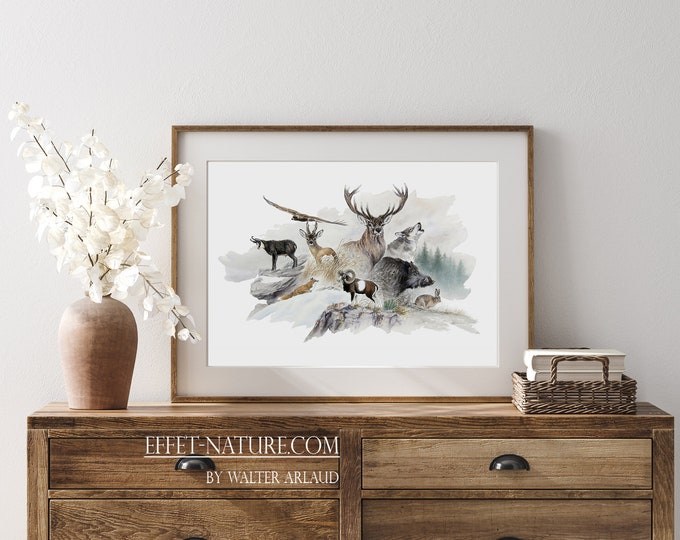 Limited prints Fine Art "Mountain Fauna" - 30 x 40 cm / 40 x 60 cm - numbered stamped and signed by the artist Walter Arlaud