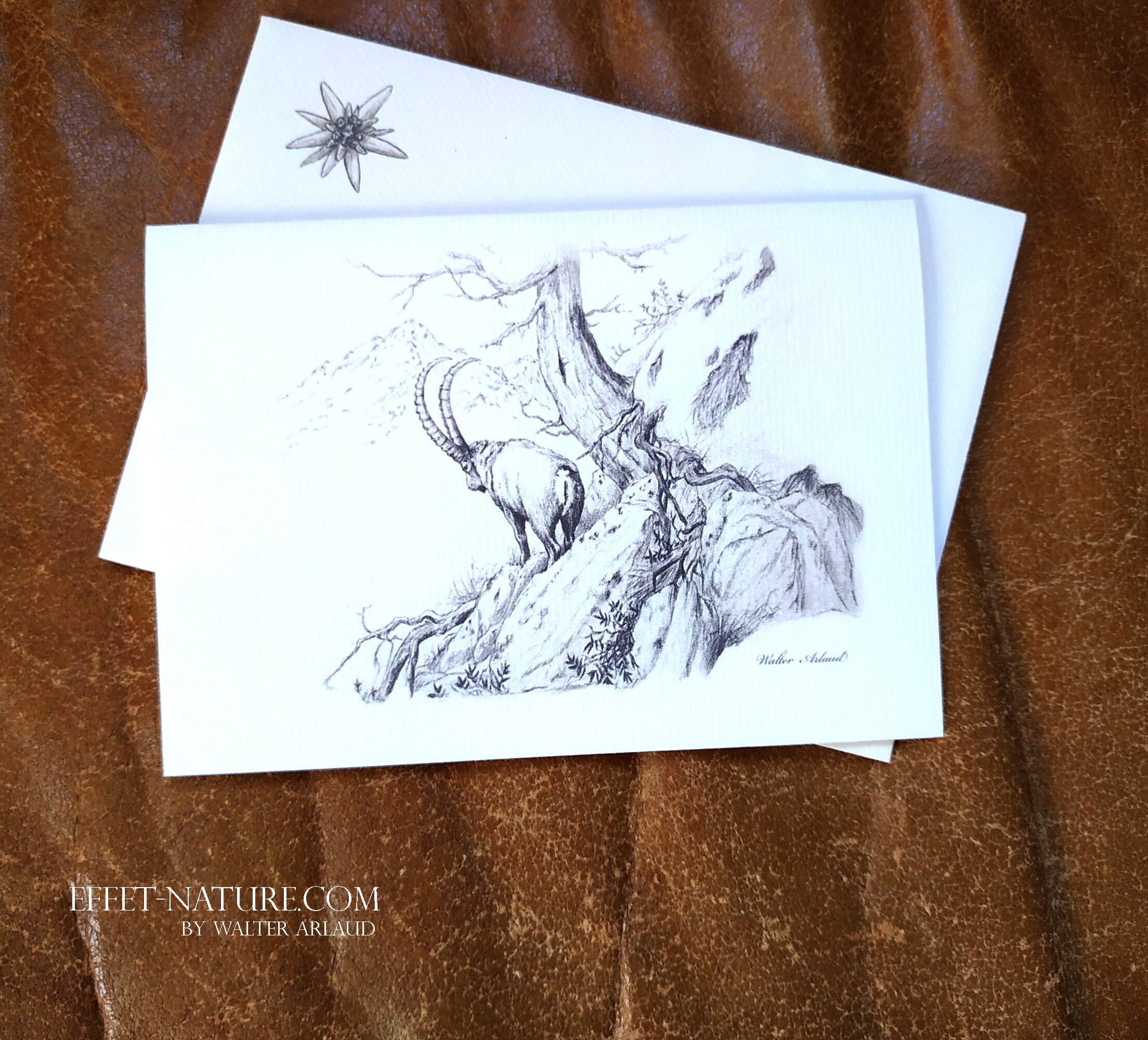 Mariage Thank You 8 Cartes Remerciement Personnalisables Avec 8 Enveloppes Ajoutez Votre Photo Remerciements Anniversaire Blanche Naissance 10x15 Cm Popcarte Bapteme Cartes Postales Fournitures De Bureau