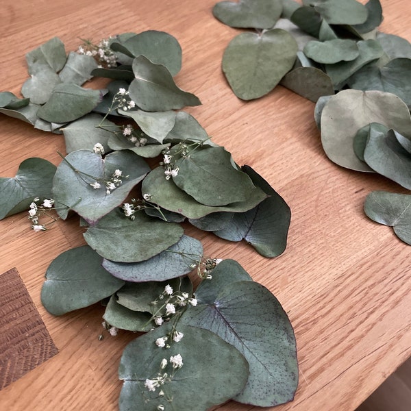 Flower confetti 100% biodegradable natural table decoration table decoration eucalyptus gypsophila green dried dried flowers green