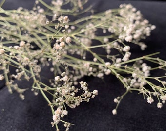 weißes Schleierkraut getrocknet oder frisch I Trockenblumen Deko