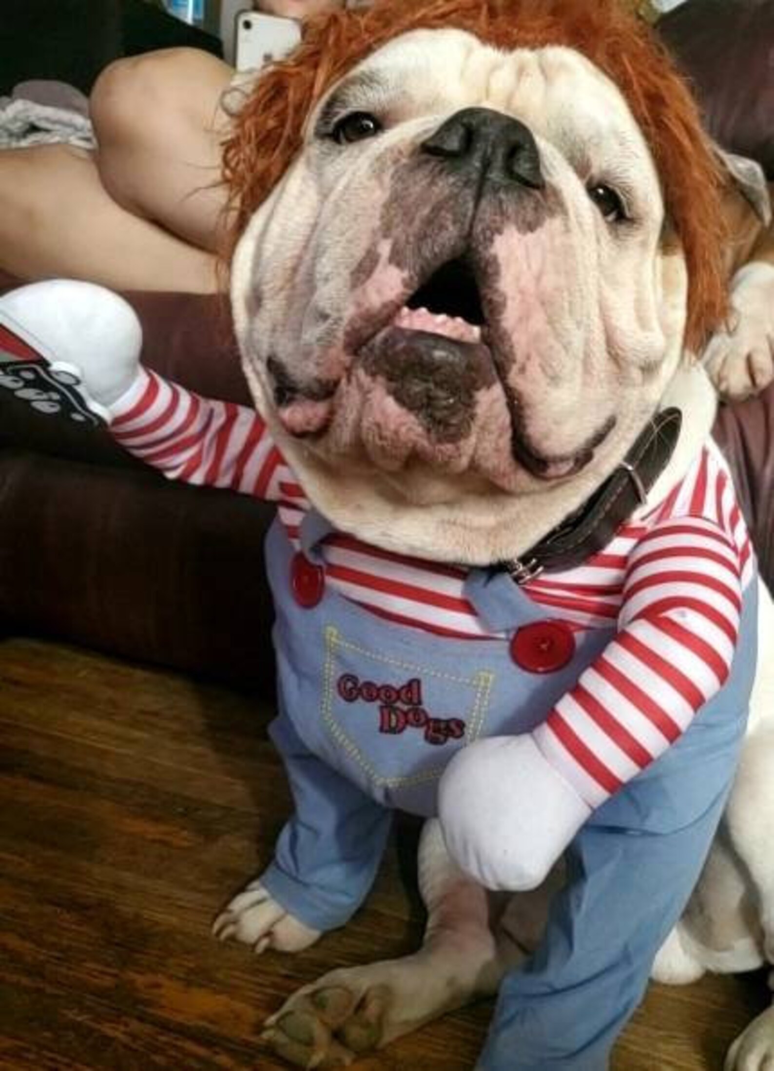 CHUCKY PET COSTUME Funny Pet Costume Chucky Dog Costume Etsy