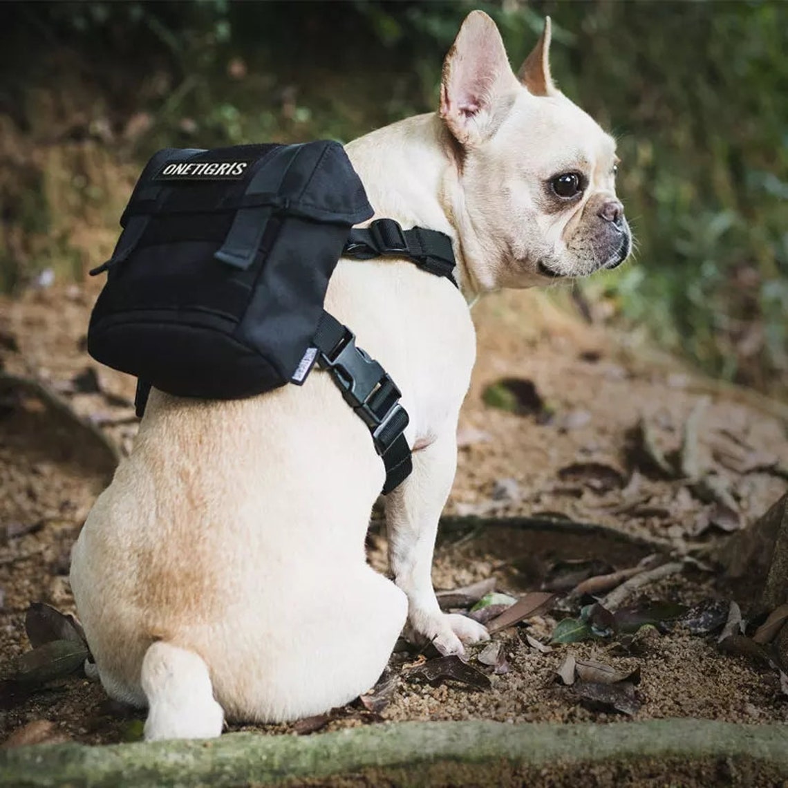 DOG BACKPACK / Small Dog Accessories / Tactical Dog Rucksack / Etsy