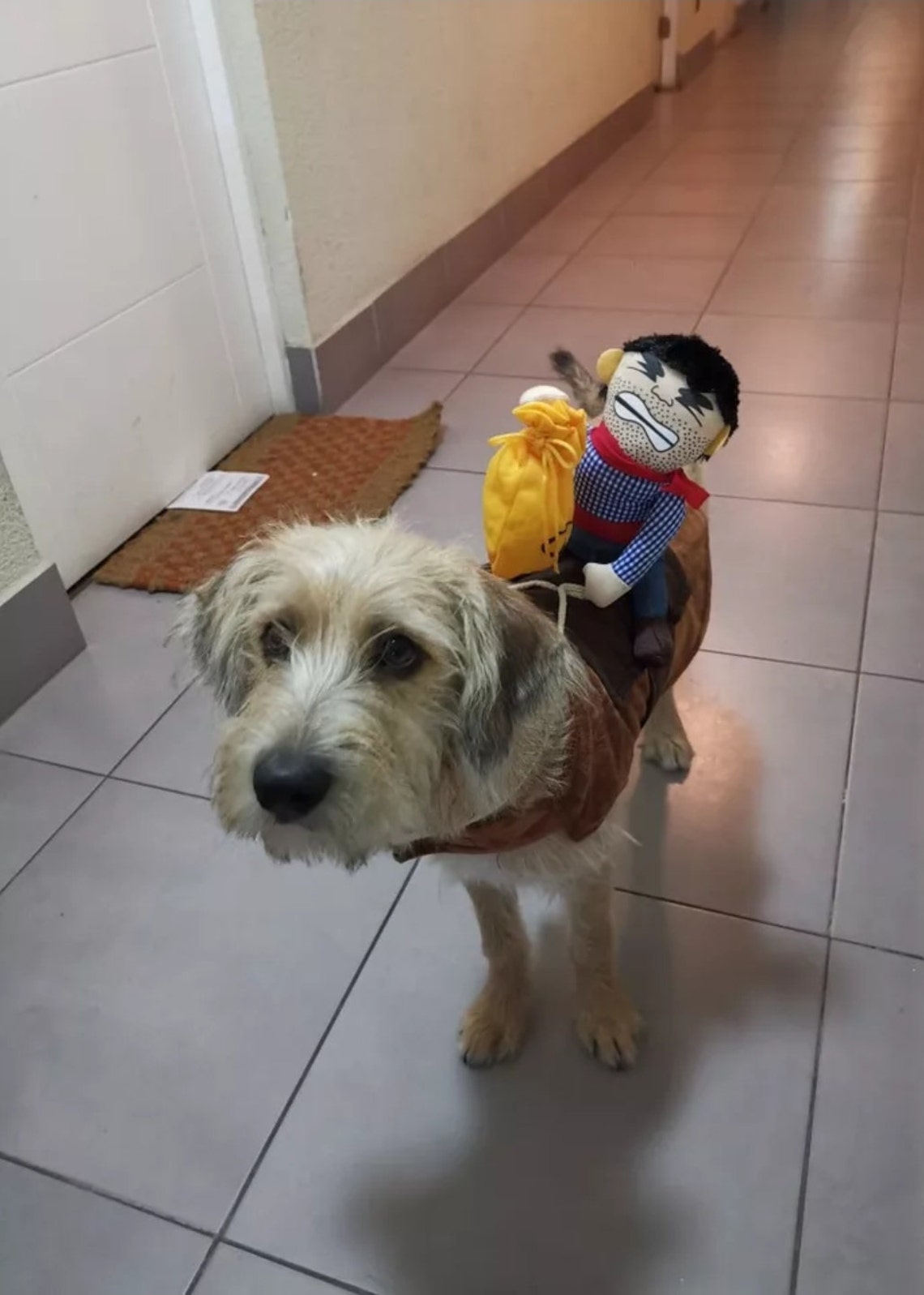 COWBOY PET COSTUME Pet Costume Robber Costume Pet Cosplay Etsy