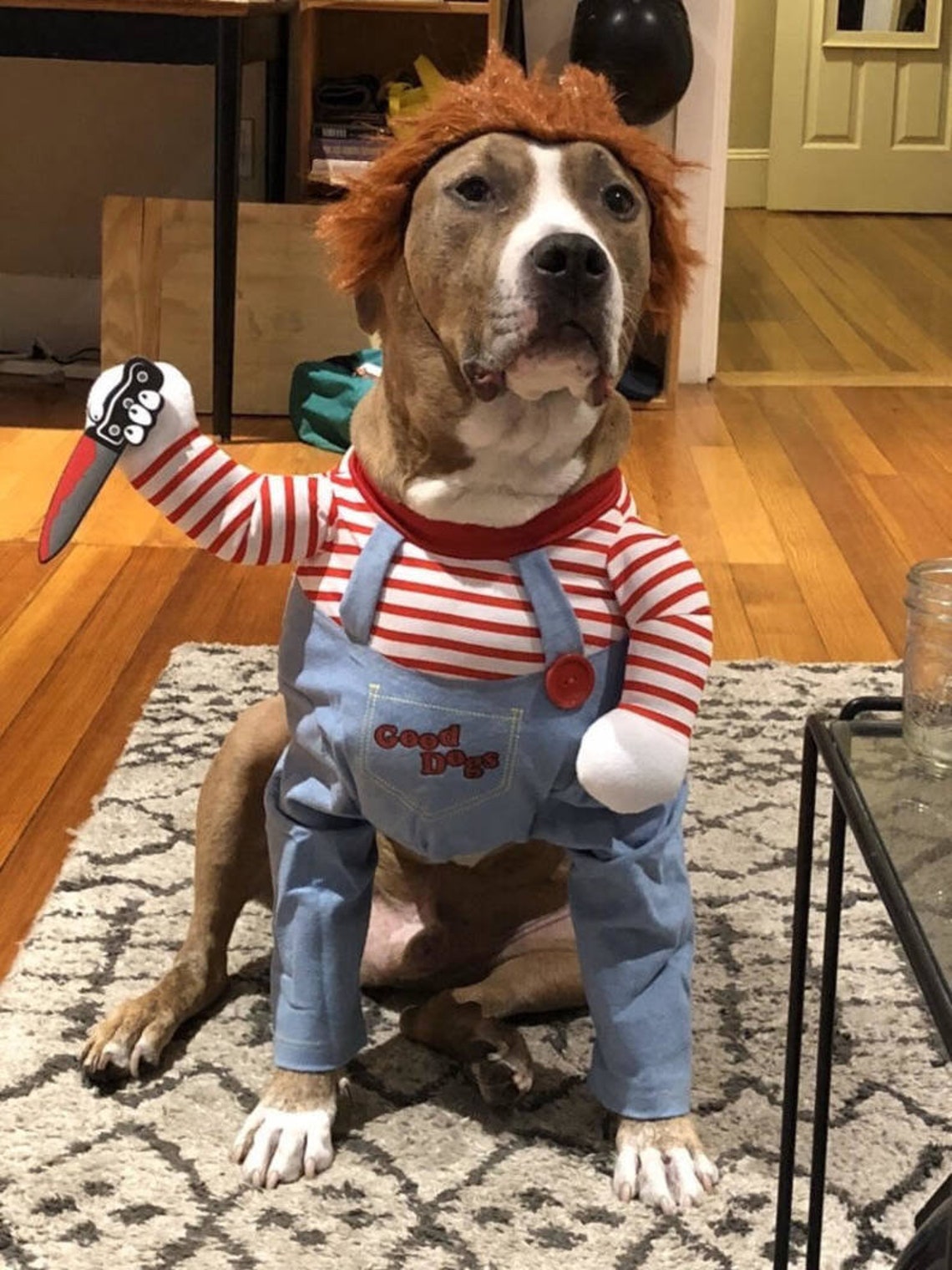 CHUCKY PET COSTUME Funny Pet Costume Chucky Dog Costume Etsy