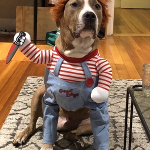 CHUCKY PET COSTUME Funny Pet Costume Chucky Dog Costume | Etsy