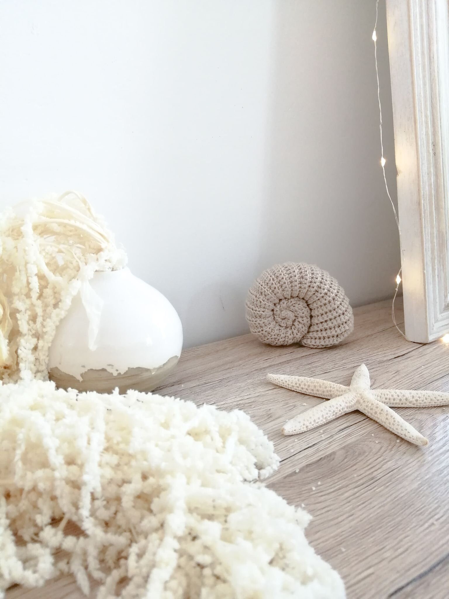 Coquillage Décoratif