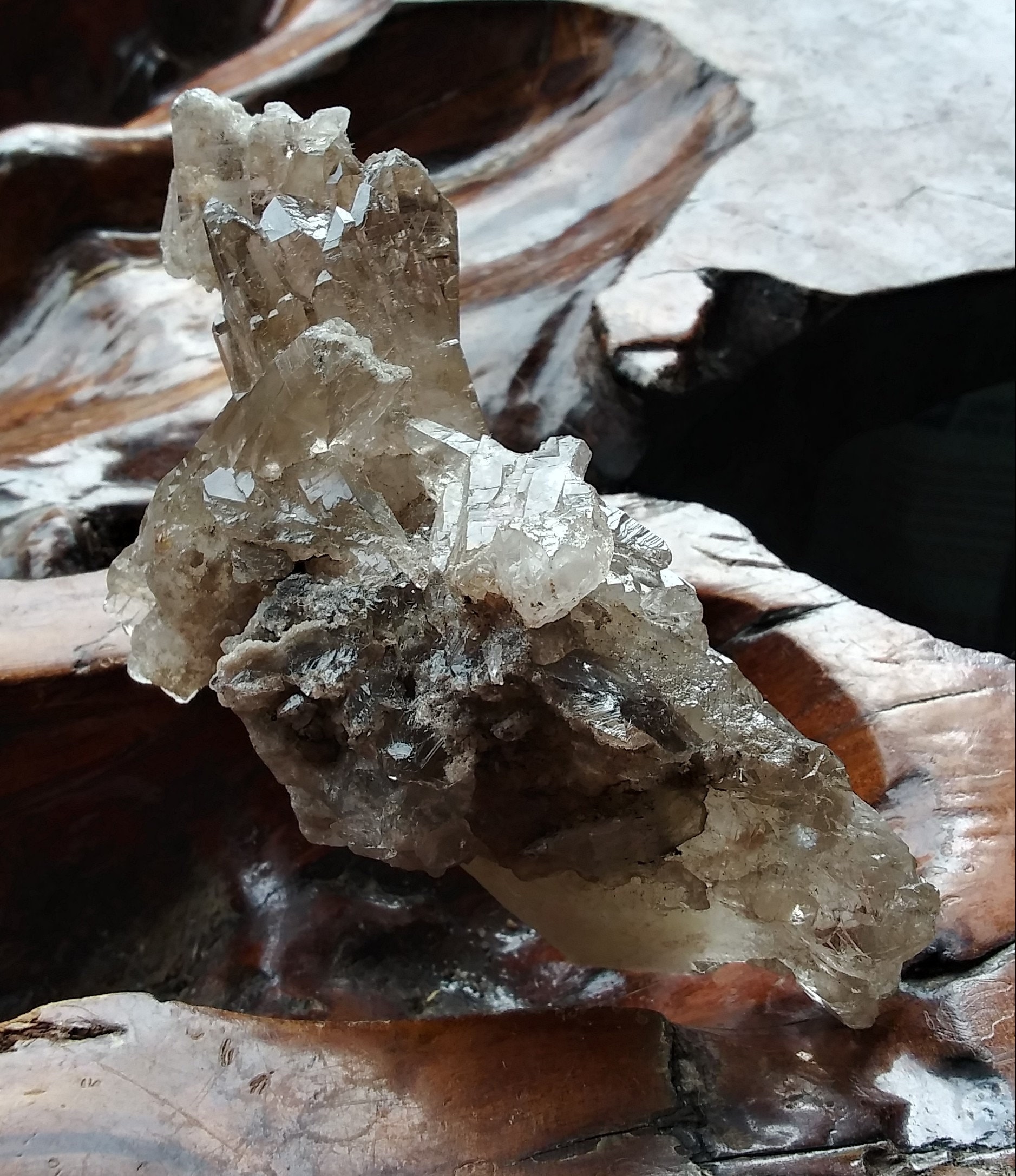 素晴らしい、非常にユニークなスモーキークォーツ標本クラスター - 未