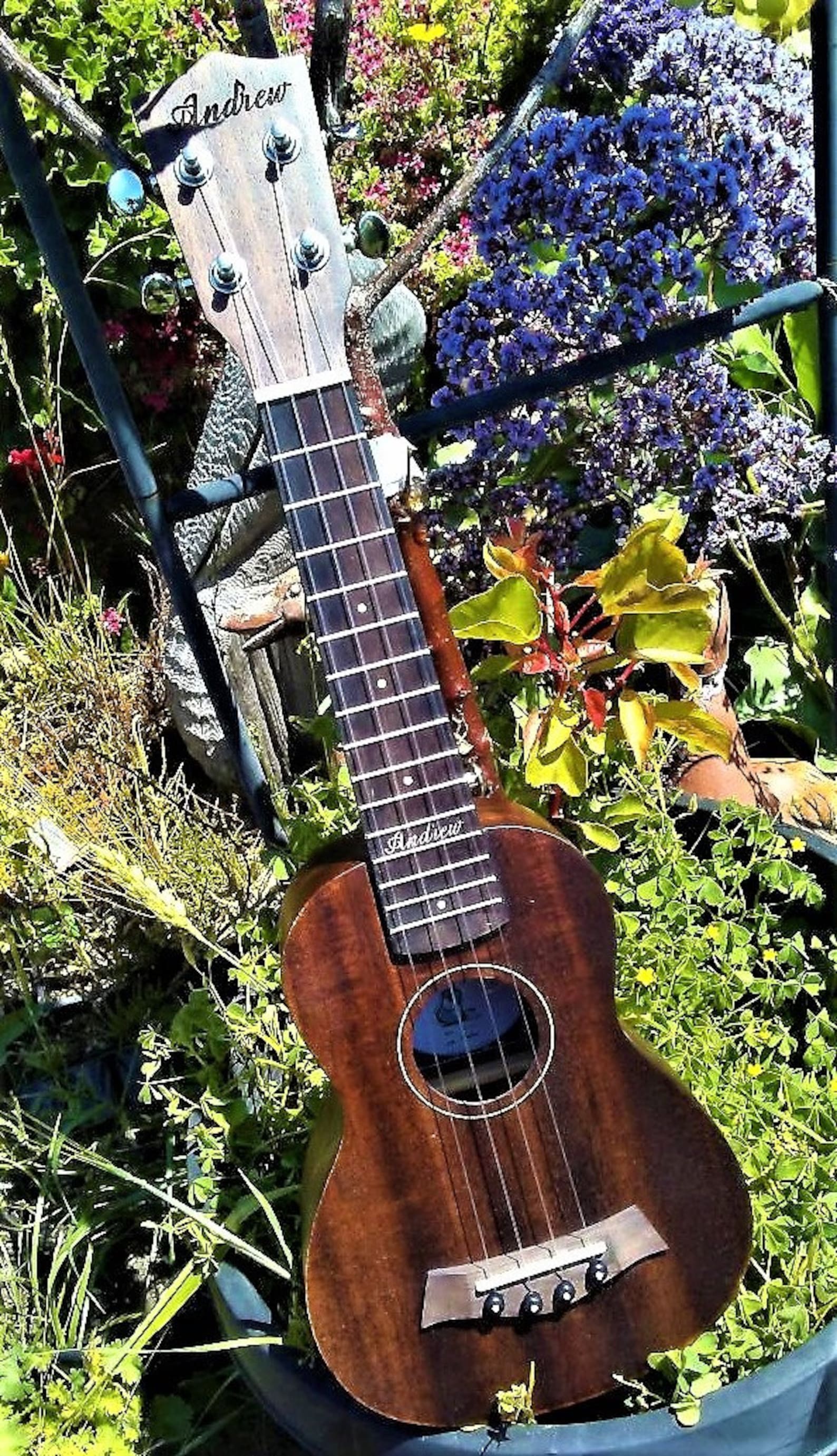 Andrew Ukulele De retour en stock et en expédition. Très bel Etsy