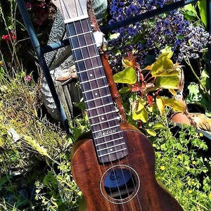 Andrew Ukulele with gig bag- Really nice quality instrument !