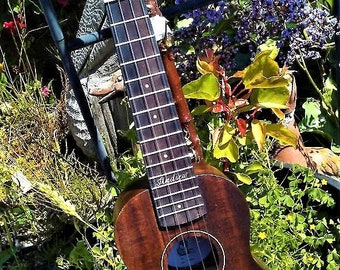 Andrew Ukulele with gig bag- Really nice quality instrument !