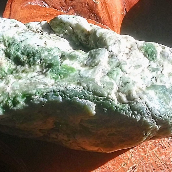 Mendocino nephrite river jade Specimen-Nice! Holiday special