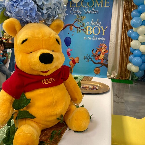 Winnie The Pooh Inspired Baby popular Shower Backdrop