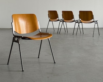 Set od 4 'DSC 106' Armchairs or Desk Chairs by Giancarlo Piretti for Anonima Castelli, Bent Plywood, 1965