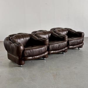 Vintage Three-Seater Sofa in Dark Brown Leather by Axel Di Pietrobon, 1970s Italy