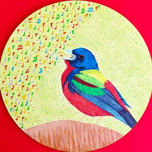 Painted Bunting