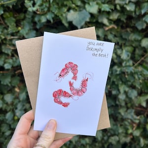 Lustige Garnelen-Postkarte – „You Are Shrimply the Best“ – Süße Tier-Wortspielkarte – Einzigartige Grußkarte mit Umschlag