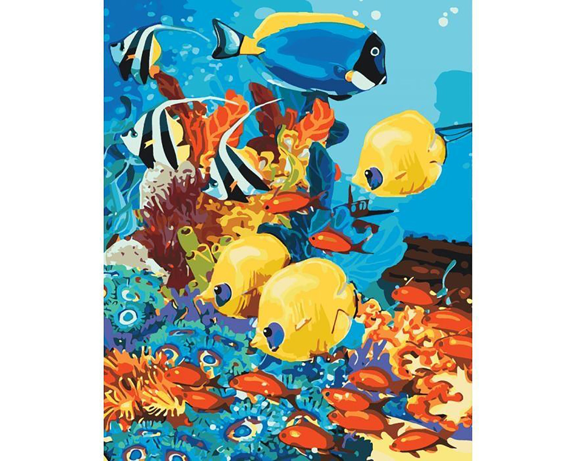 Colorful fish paint by number kit adult undersea world Etsy