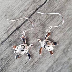 May include: A pair of silver dangle earrings featuring a detailed turtle design. The turtles have a textured shell and are hanging from a silver hook.