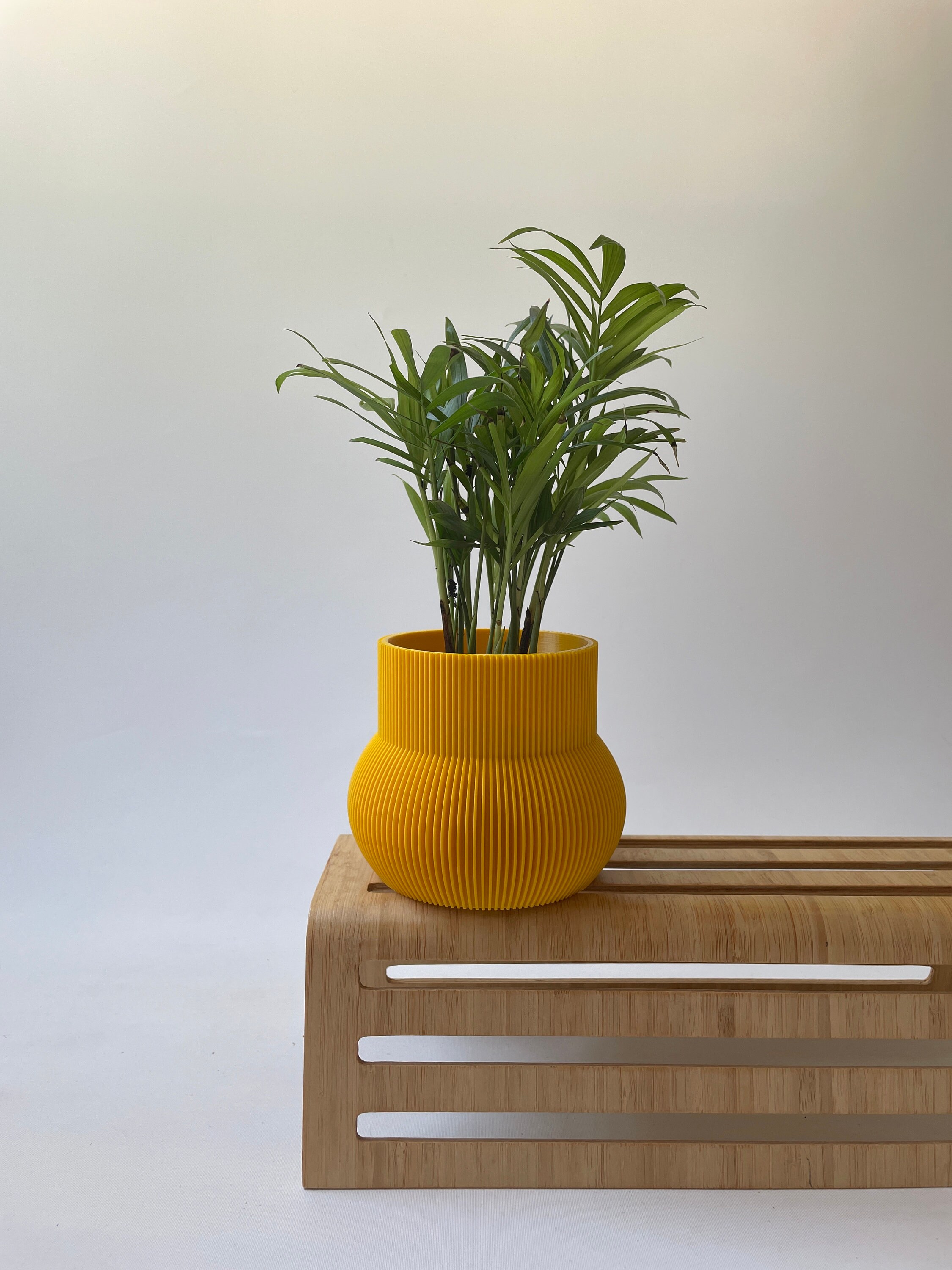 Large Ceramic Flower Pot for sale Only 2 left at 75