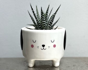 Cactus Succulent Planting Kit with Ceramic Dog Planter