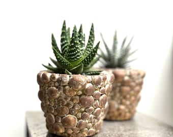 Textured Cement Indoor Plant Pot for Houseplants, Herbs, Cacti and Succulents - 11cm