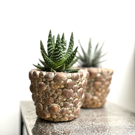 Textured Cement Indoor Plant Pot for Houseplants, Herbs, Cacti and Succulents - 11cm
