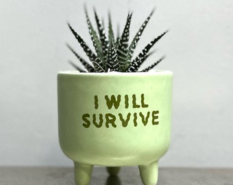 Cactus Succulent Planting Kit with Green I Will Survive Mini Plant Pot