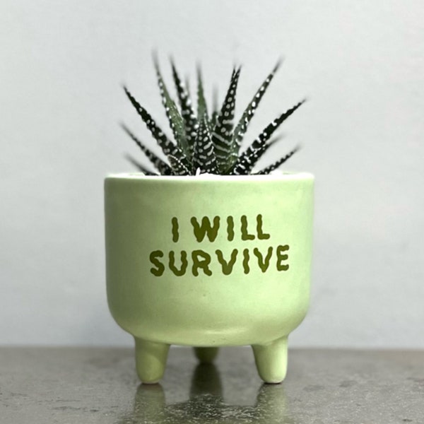 Cactus Succulent Planting Kit with Green I Will Survive Mini Plant Pot