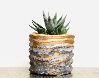 Succulent Planting Kit with Gold and Grey Ribbed Cement Plant Pot