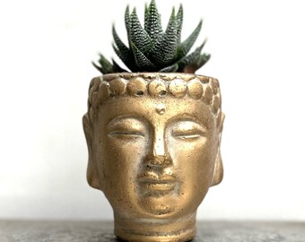 Succulent Planting Kit with Gold Buddha Head Indoor Mini Plant Pot