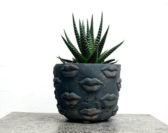 Succulent Planting Kit with Indoor Lips Plant Pot and Haworthia