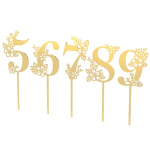 Lacupella Gold Acrylic Number Cake Topper 5-9