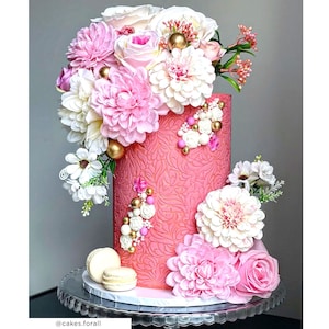 Pochoir à gâteau Lacupella - CLARIS