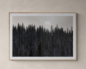 Black and White Photography Print| Vintage Forest Print | BW Pine print | 300 DPI 24x36