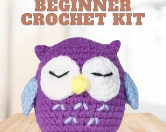 Beginner Crochet KIT - Amigurumi Owl, Easy Crochet Starter Kit, Amigurumi Purple Plushie Owl, Diy Craft Kit Gift, Learn How To Crochet Kit