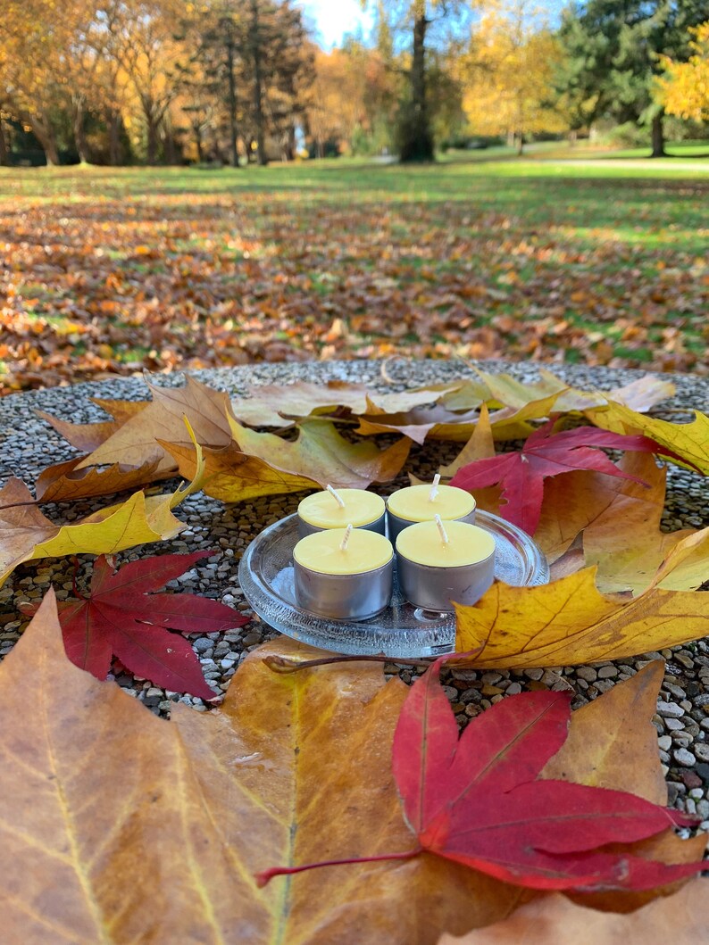 Set of 12 Tealight Candles, 100% Pure Canadian Beeswax image 8